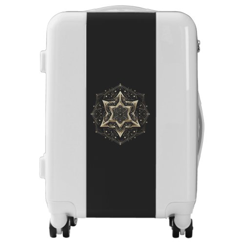 Simetrical and geometrical pattern  luggage