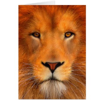 Simha Lion Face by PawsForaMoment at Zazzle