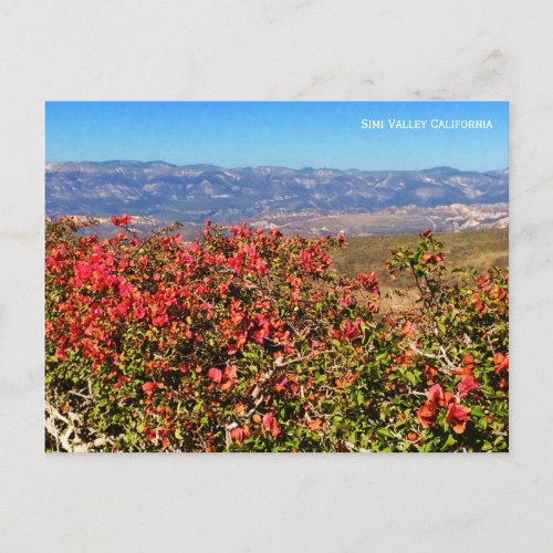 Simi Valley California Postcard