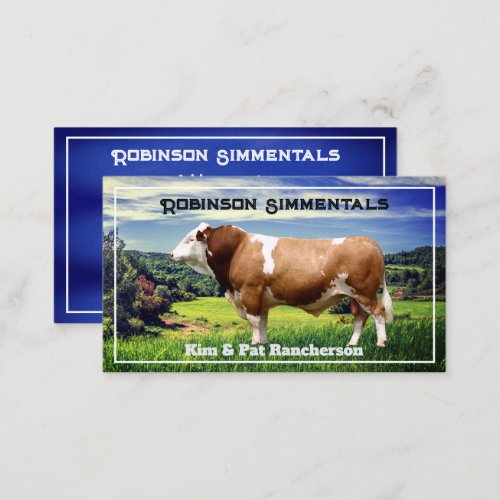 Simmental Bull in Pasture Business Card