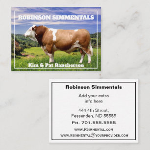 Simmental Bull in Pasture Business Card