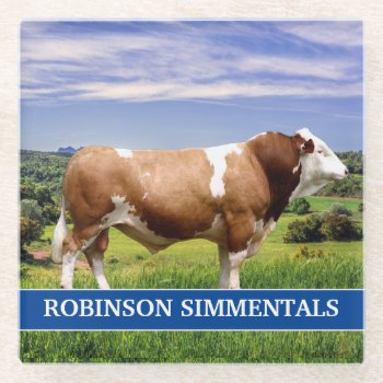 Simmental Bull In Pasture  Glass Coaster by DakotaInspired at Zazzle