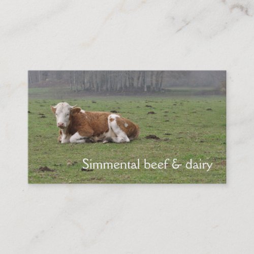 Simmental cow business card