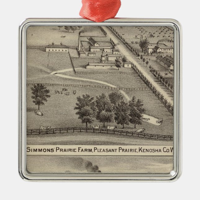 Simmon's Prairie Farm, Kenosha Water Cure Metal Ornament (Front)