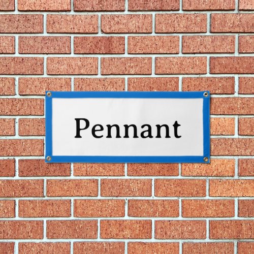 Simple 24" x 10.5" Blue Rectangle Pennant Banner
