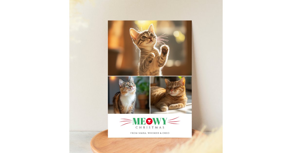Simple 3 Photo Red Green Meowy Christmas Cute Cat Holiday Card | Zazzle