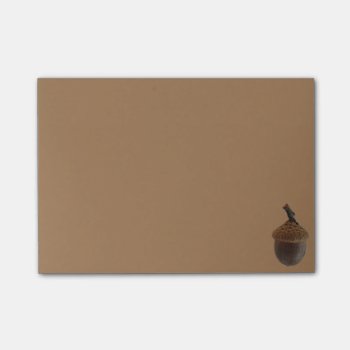 Simple Acorn Post-it Post-it Notes by Rockethousebirdship at Zazzle