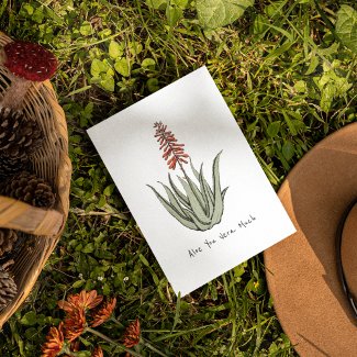 Simple Aloe You Vera Much Blank Cactus Plant Art