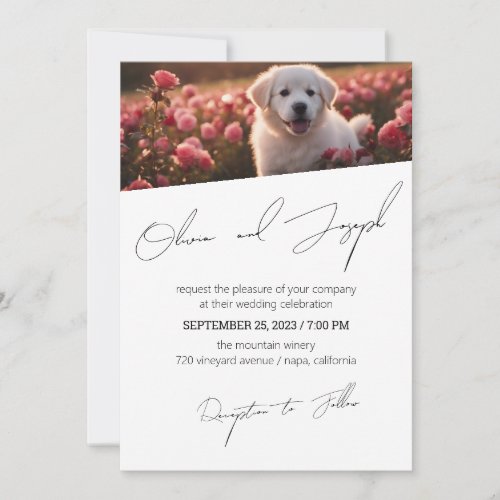 Simple and customizable script wedding invite