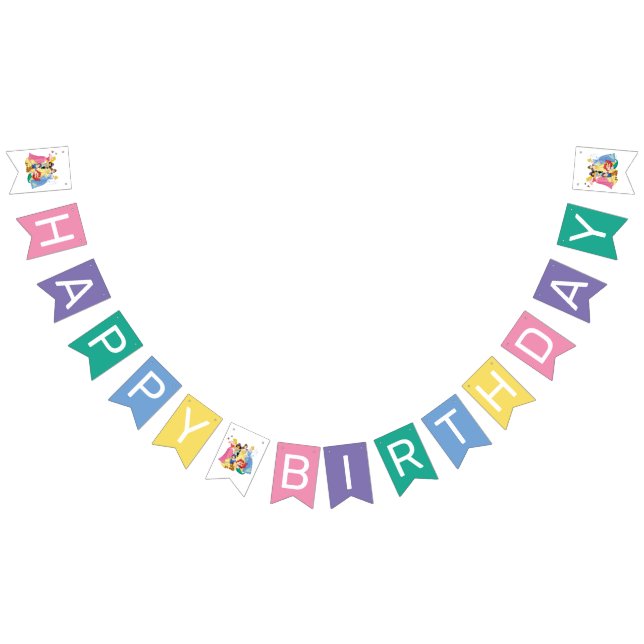 Simple and Modern Disney Princess Birthday Bunting Flags (All)