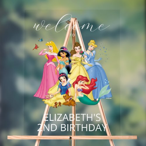 Simple and Modern Disney Princess Birthday Welcome Acrylic Sign