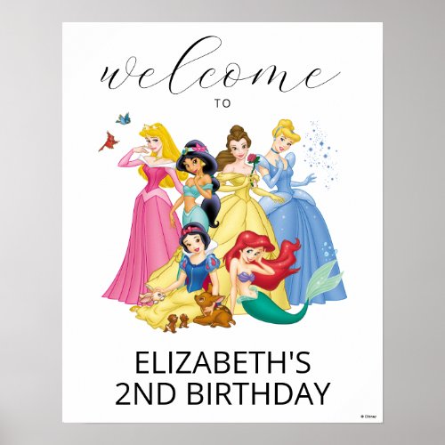 Simple and Modern Disney Princess Birthday Welcome Poster