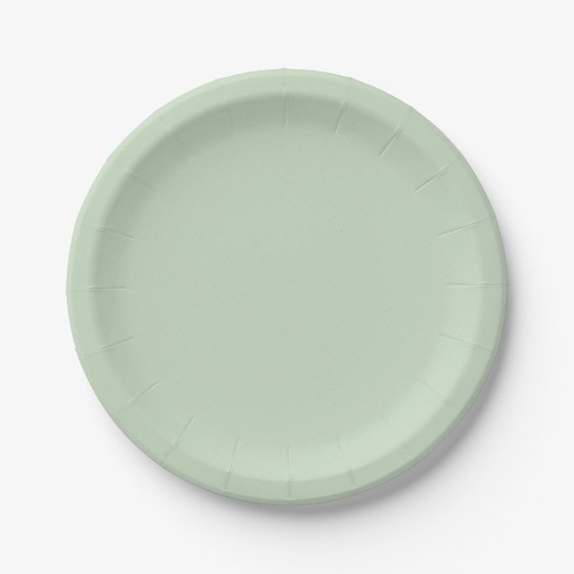 Simple And Plain Plates For Wedding birthday party (Front)