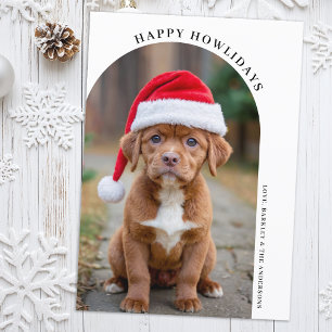 Simple Arch Christmas Custom Pet Dog Photo Holiday Card