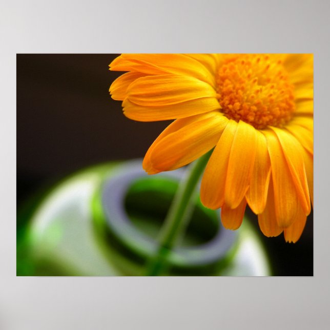 Simple Arrangment Poster (Front)
