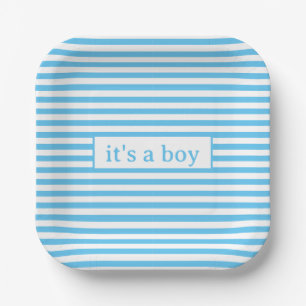 Simple Baby Blue and White Stripes Paper Plates
