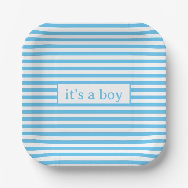 Simple Baby Blue and White Stripes Paper Plates (Front)