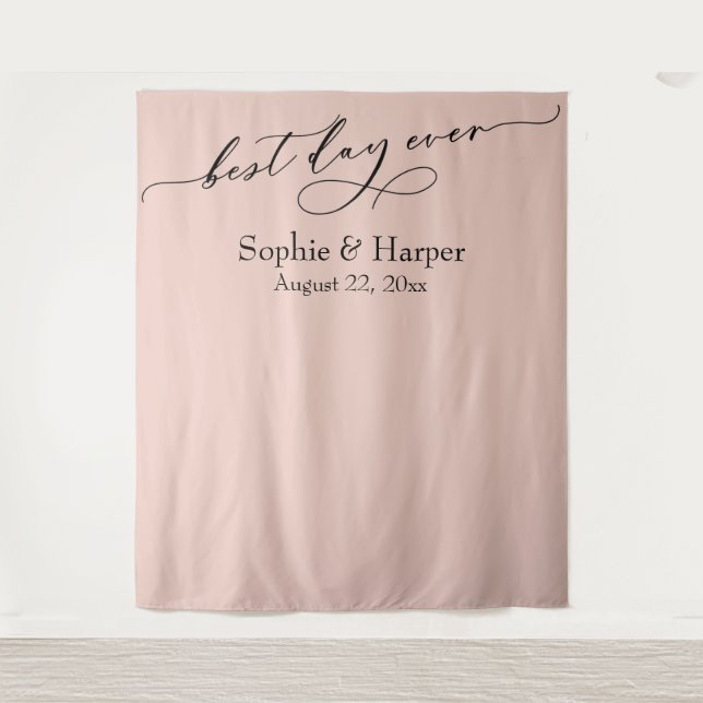 Simple Best Day Ever Blush Pink Photo Backdrop (Front)