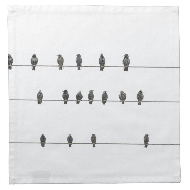 Simple Birds on the Wires Hand-Drawn Illustration Cloth Napkin (Front)