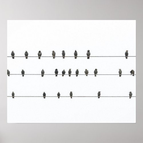Simple Birds on the Wires Hand_Drawn Illustration Poster