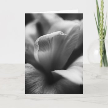 Simple Black And White Floral Design Card by Meg_Stewart at Zazzle