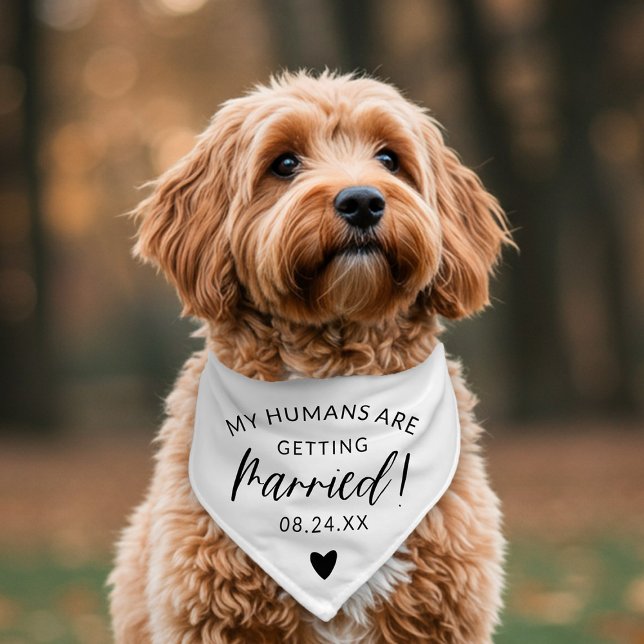 Simple Black and White Wedding Save the Date Pet Bandana Collar (Creator Uploaded)