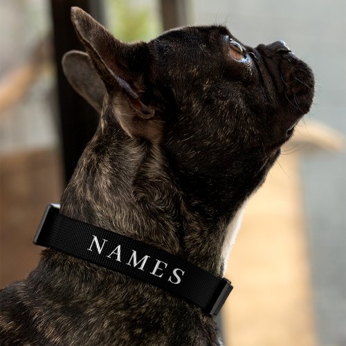 Simple Black Custom Add Your Name Elegant Pet Collar