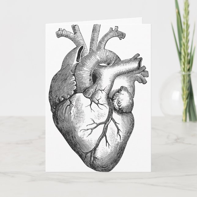 Simple Black White Anatomy Heart Illustration Card (Front)