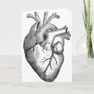 Simple Black White Anatomy Heart Illustration Card