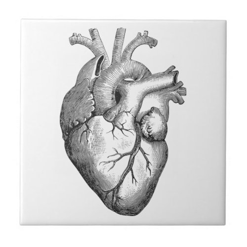 Simple Black White Anatomy Heart Illustration Ceramic Tile