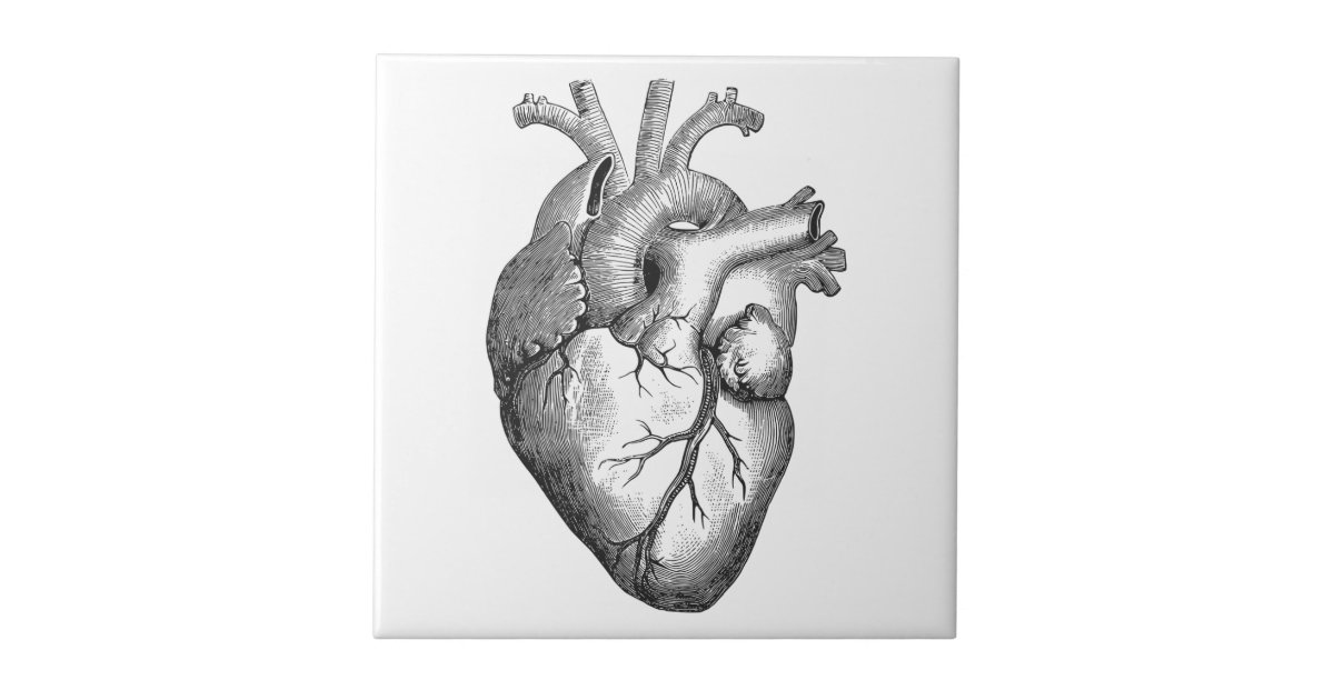 Simple Black White Anatomy Heart Illustration Ceramic Tile ...