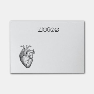Simple Black White Anatomy Heart Illustration Post-it Notes
