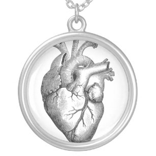 Simple Black White Anatomy Heart Illustration Silver Plated Necklace