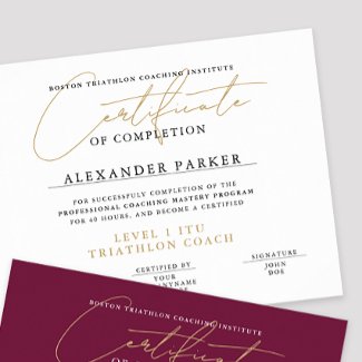 Simple Black White Gold Certificate Award Diploma
