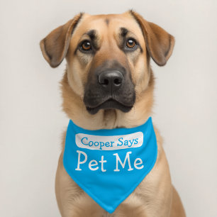 Simple Blue and White Dog's Name Pet Me Bandana Collar