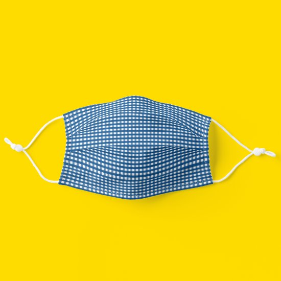 Simple Blue White Covid 19 Gingham Plaid Pattern Cloth Face Mask