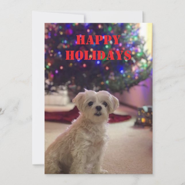 Simple Bold Happy Holidays Card (Front)