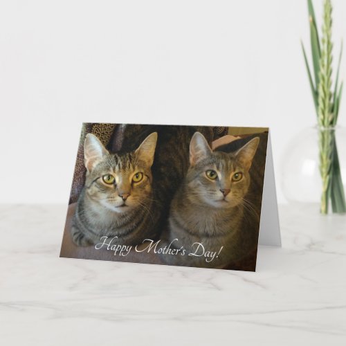 Simple Cats Photo Mothers Day  Card
