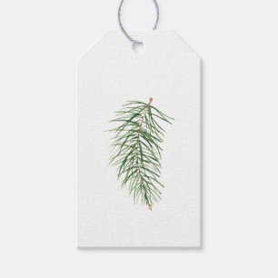 Simple Classic Evergreen Christmas Tree Branch 2 Gift Tags