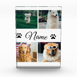 Simple colorful animal add name photo collage block