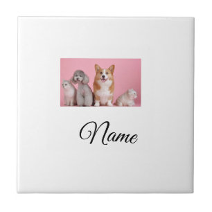 Simple colorful animal add name photo custom ceramic tile