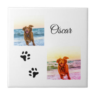 Simple colorful animal add name photo custom ceramic tile