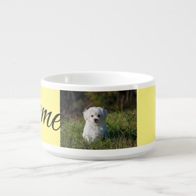 Simple colorful animal add name photo custom throw bowl (Center)