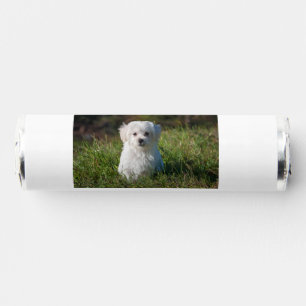 Simple colorful animal add name photo custom throw breath savers® mints