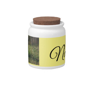 Simple colorful animal add name photo custom throw candy jar