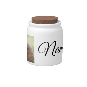 Simple colorful animal add name photo custom throw candy jar