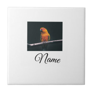 Simple colorful animal add name photo custom throw ceramic tile