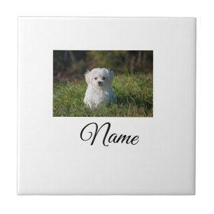 Simple colorful animal add name photo custom throw ceramic tile