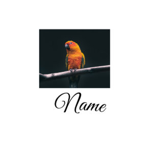 Simple colorful animal add name photo custom throw cutout