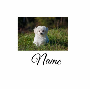 Simple colorful animal add name photo custom throw cutout